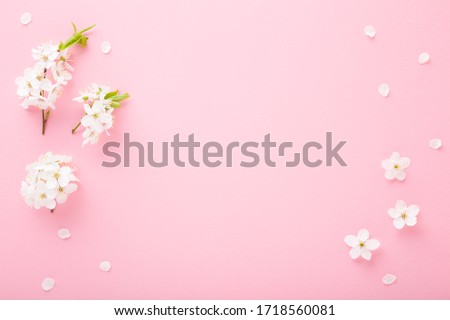 Fresh white cherry blossoms on light pink table background. Pastel color. Flat lay. Closeup. Empty place for inspirational text, lovely quote or positive sayings. 