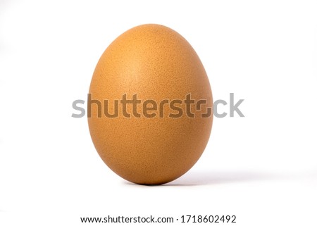 Picture of an egg laying vertically with a white background