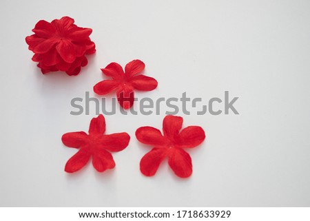 Red flower petals on a white background. Copy space for text. Isolated.