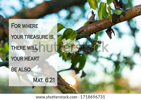 Bible quotes on blurred nature background. Card with text sign for believers. Inspirational thoughts for praying. Christian faith wallpaper. For where your treasure is, there will your heart be also.