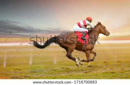 Race horse with jockeys on the home straight. Shaving effect. Royalty-Free Stock Photo #1718700883