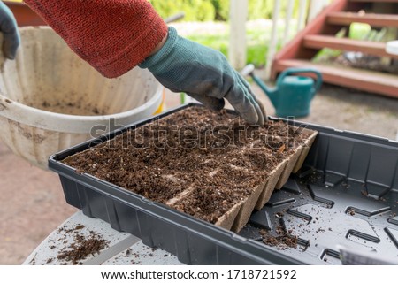 Gardener Filling a Seed Starter Kit with Soil in Preparation for Planting Royalty-Free Stock Photo #1718721592
