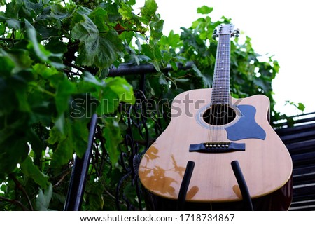 A GUITAR ON STEPS WITH GREEN LEAVES AND SKY