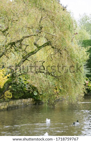 COTSWOLDS ENGLAND UK ON OCTOBER 12, 2019: One of the most beautiful villages in the Cotswolds Bourton-on-the-Water. View along the river Windrush.