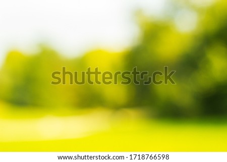 Outdoor park with tree and bokeh light, blur background. Abstract blur image of walkway in the park