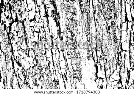 Grunge texture of tree bark. Abstract background of tree bark. Vector illustration. Overlay template. Royalty-Free Stock Photo #1718794303