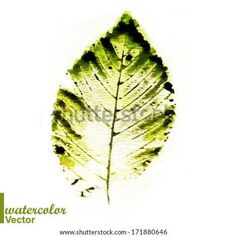 Watercolor stamp of a leaf. Think Green. Colorful watercolor stamped painted leaves. Vector illustration. ECO green. Prints of leaves.