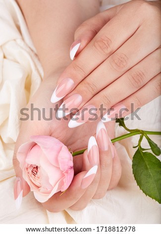 Hands with long artificial french manicured nails holding pink rose flower Royalty-Free Stock Photo #1718812978