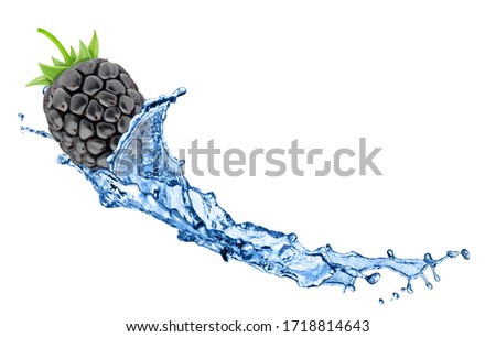 Blackberry in water splashes isolated on white background.