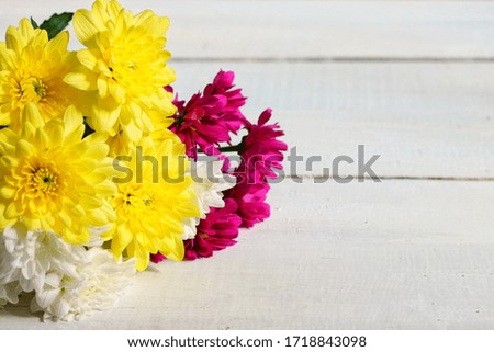 Flowers that lie on a white wooden background. With space for your text