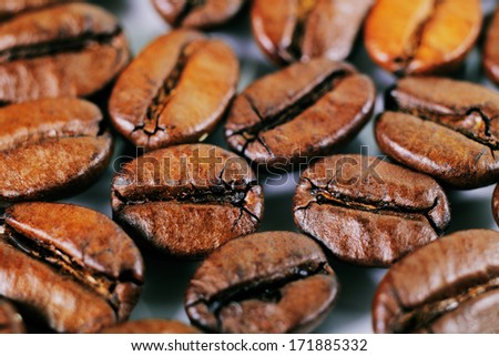 A close-up picture of coffee beans on a white background