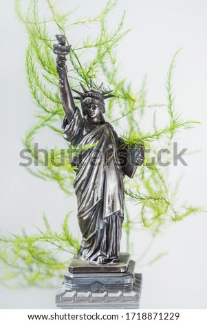 statue of liberty is vintage retro symbol of NY 