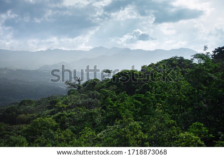 Overlapping rainforest horizon, mountain silhouette, tandem, one after another Royalty-Free Stock Photo #1718873068