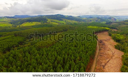 aerial panorama view of reforested hills Royalty-Free Stock Photo #1718879272