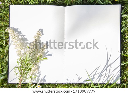 The open album lies on green grass and dandelion in the park. White sheet on lawn, free space for your design, mock up