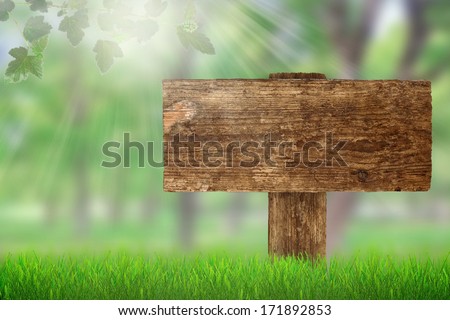 Signboard in grass in forest