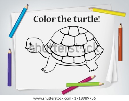 Children turtle coloring worksheet illustration