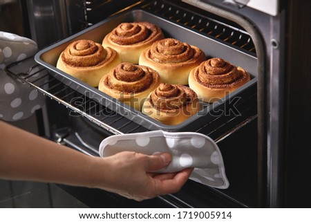 A woman takes out fresh buns from the oven. Cinnamon rolls are baked in the oven. Homemade baking. Royalty-Free Stock Photo #1719005914