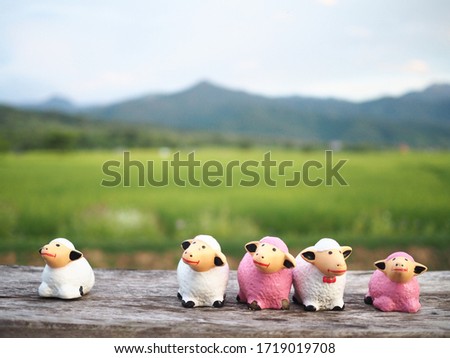 
Background Picture 5 Sheep. 
Sheep statue is white Sheep and pink Sheep