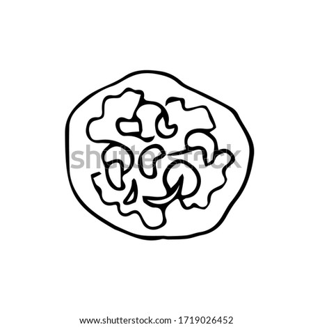 Hand drawn Mexican traditional food tostados icon isolated on white background. Vector illustration for menu, poster, web. 