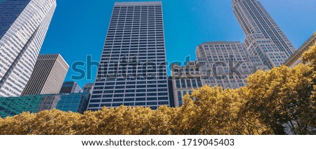 Skyscrapers and nature in Bryant Park, Manhattan, New York.
