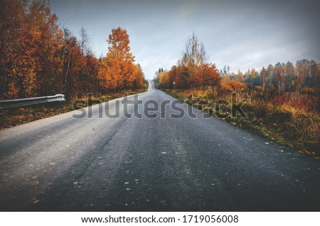 Late autumn nature landscape.Asphalt rural road passing through autumn forest.Trees with orange fall foliage.Cloudy autumn hazy morning.Calm weather.October scenery.Overcast sky. Royalty-Free Stock Photo #1719056008