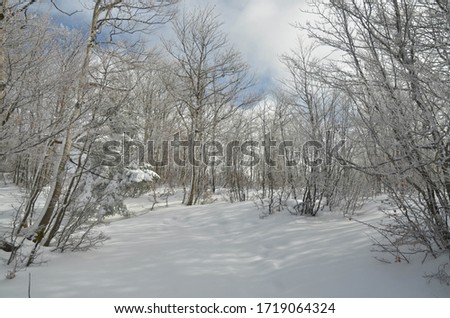 photography panoramas with snow in the national park with volcano streams and lake background
