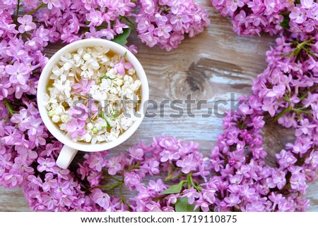Cup of tea with lilac flowers on wooden background. Spring time. Vase with lilac. Copy space for text. The concept of holidays and good morning wishes. Royalty-Free Stock Photo #1719110875