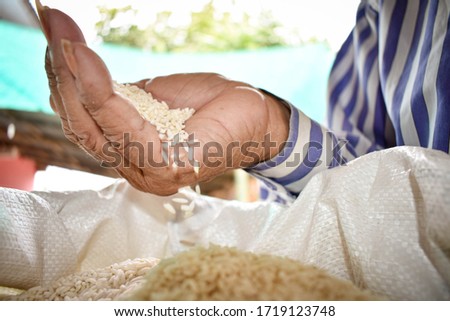 A poor Asian farmer, collects rice in his hands in the morning to eat when he is hungry and he needs help from the world. Take pictures with close-up techniques. 
