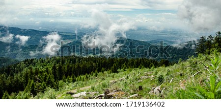 Amazing fog landscape in black forest panorama banner long
