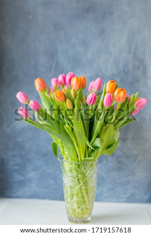 Bouquet of tulips in vase. Spring flowers . Bouquet in vase. Pink and orange blooming flora. Cozy still life. Copy space. Holiday greeting.