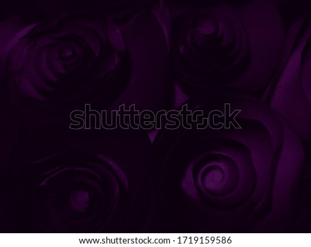 Beautiful abstract color blue and purple flowers on black background and purple graphic pink flower frame and pink leaves texture, purple background, colorful graphics banner, purple leaves 