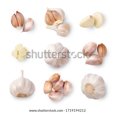 A set of garlic, cloves and slices isplated on white background. Top view. Royalty-Free Stock Photo #1719194212
