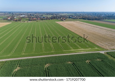 Dirt road between fields with tractor tracks from the air, Germany