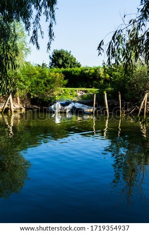 Beautiful landscape in Danube Delta, boats for sailing at shoreline. Romania.