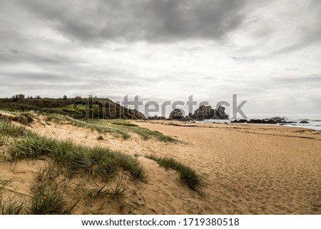 Dunes at the beach of the Camel Rock bay in New South Wales, Australia at a cloudy and windy day in summer with strong waves in the ocean. 