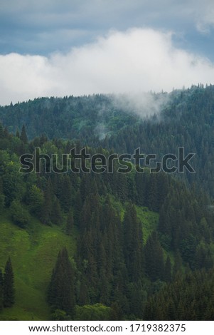 Vertical photography of beautiful cloudy and rainy dark foggy summer green landscape of picturesque mountain hills and green woods.