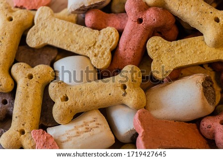 Top Close Up View of Colorful Mix Dog Dry Biscuits Food Concept Royalty-Free Stock Photo #1719427645