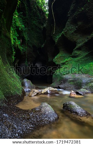 Tropical landscape. Hidden canyon in the jungle. River in rain forest. Water flow. Soft focus. Slow shutter speed, motion photography. Landscape background. Vertical layout. Bangli, Bali, Indonesia