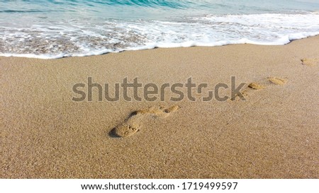 footprints in the sand at a beach