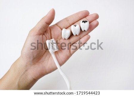 Healthy Tooth and Cavity and Decayed Tooth on Hand with Toothbrush on White Background, Regularly Check Your Dental Health. Started on the path to better oral health and hygiene