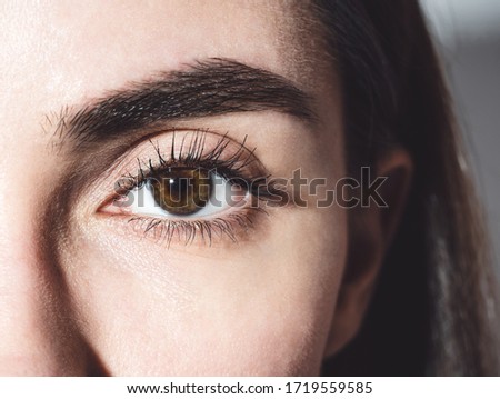 Beautiful female brown eye close-up. The eye is looking down. Mascara on the eyelashes. Charming look. Bare eye without makeup. For makeup. Royalty-Free Stock Photo #1719559585