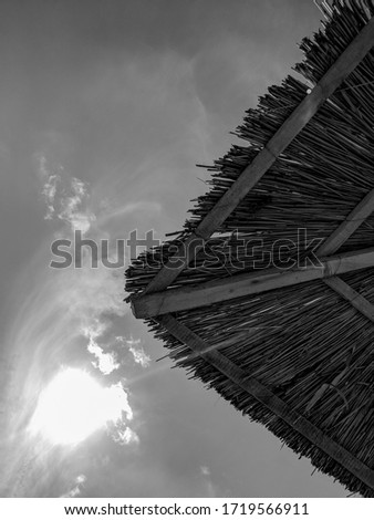 Black and White Photography of a Cane beach umbrellas / Sun umbrella made of reeds on the beach against the sky