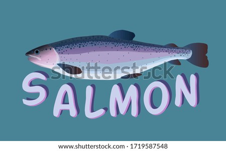 Rainbow trout aquaculture. Salmon fish. Vector isolated image.