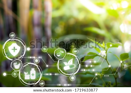 Blurred nature background with ai technology IOT. Herbal remedies. Nature sustainable energy logo. Agriculture, environmental and alternative medicine concept. Ecology reuse and data analysis report  Royalty-Free Stock Photo #1719633877