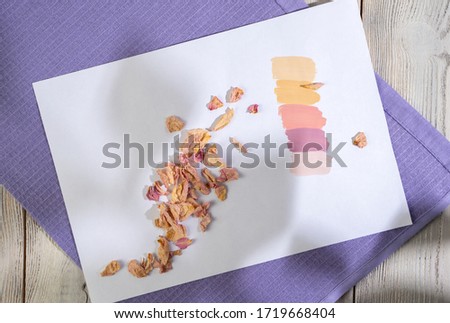 A color palette with samples of flowers taken from a dried field plant, with the shadow of a leafy branch falling from above. On white background. Composition for your design.
