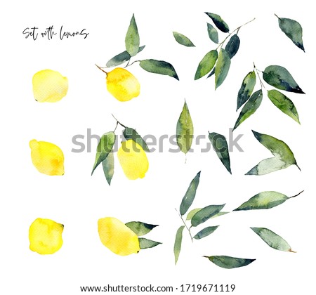 Set of lemons and leaves. Watercolor illustration with isolated elements on white background. 