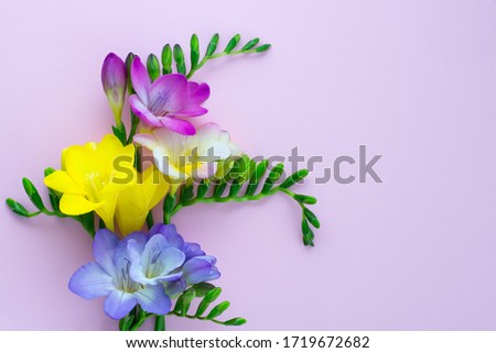 Mother's day minimalistic greeting card background with isolated close up freesia flowers bouquet. Poster for women day, wedding invitation, birthday, Copy space for text, flat layout