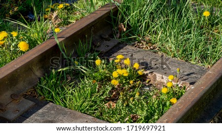Close view of old railroad tracks with wooden sleepers in the spring.