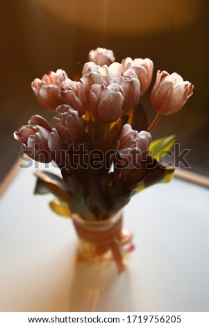 Tulips bouquet standing in the vase with tender pink ribbon on the table on dark background. Beautiful back sunlight.